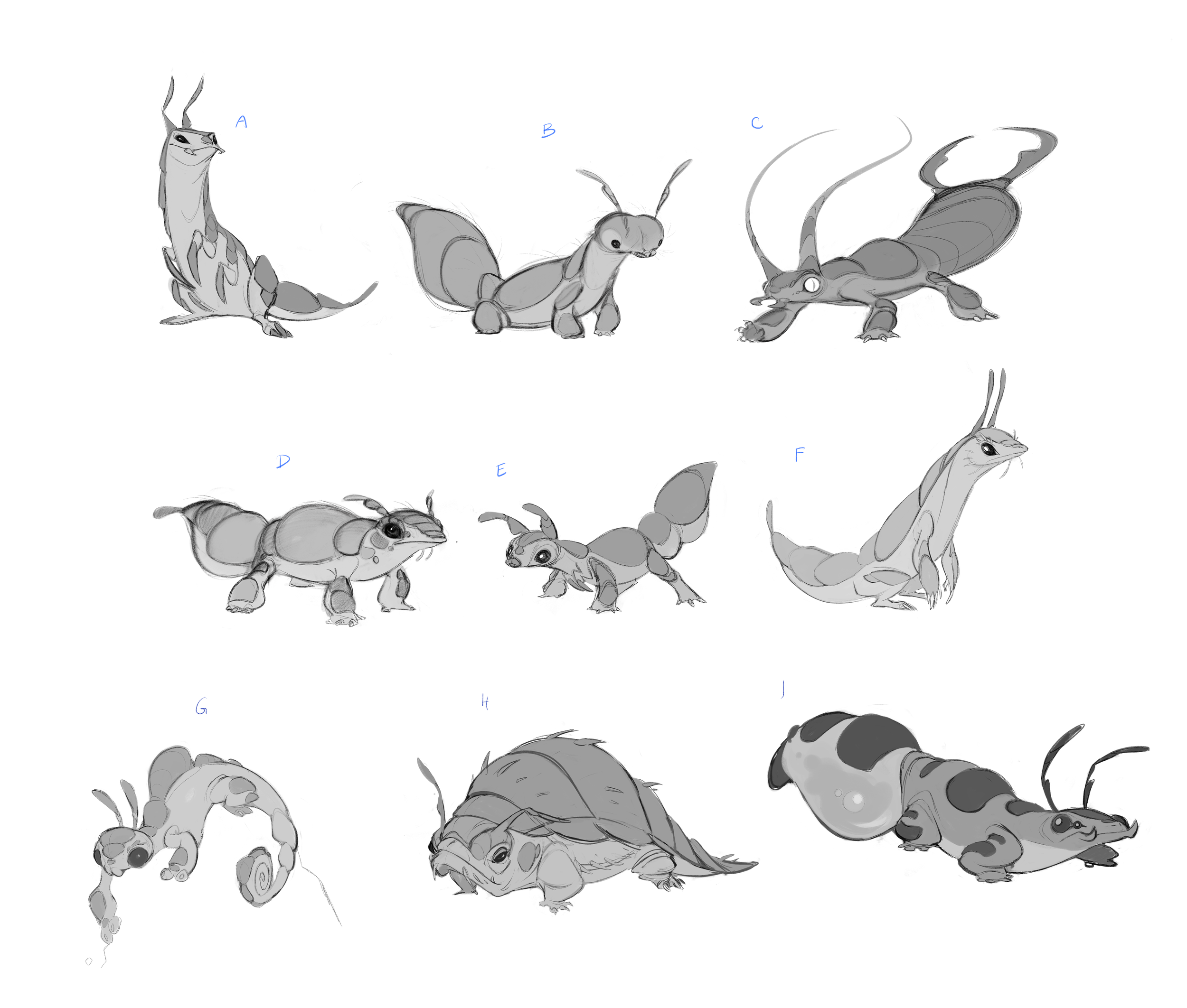 Lizard Ant Designs.png