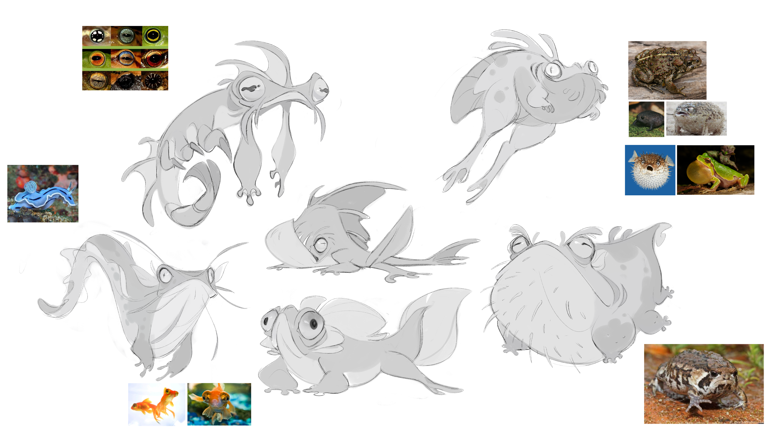 Wondla_FrogFishExploration.png