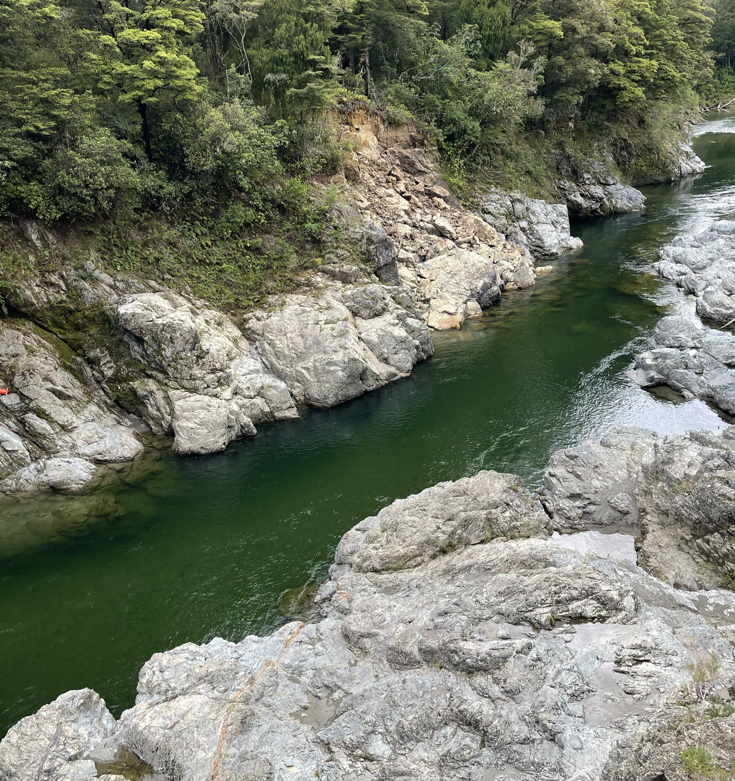 A rocky riverside with green water, surrounded by lush trees and foliage on the riverbank.