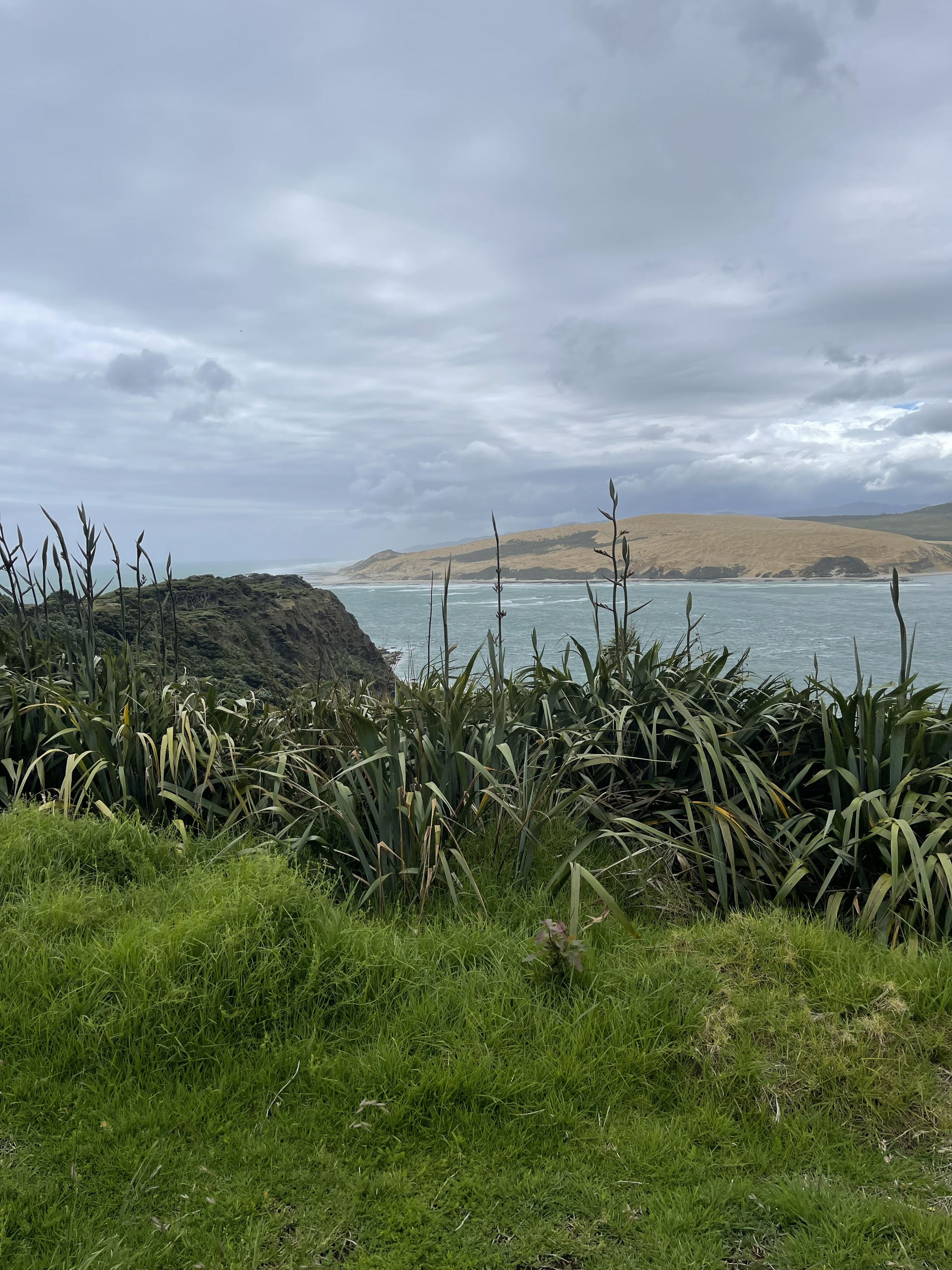 Opononi Inlet Sand Dunes