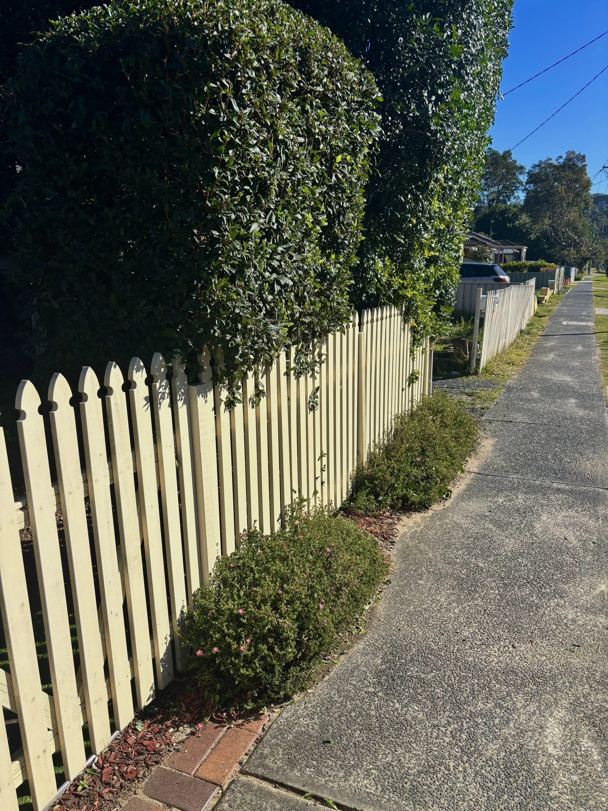 Hedging Service