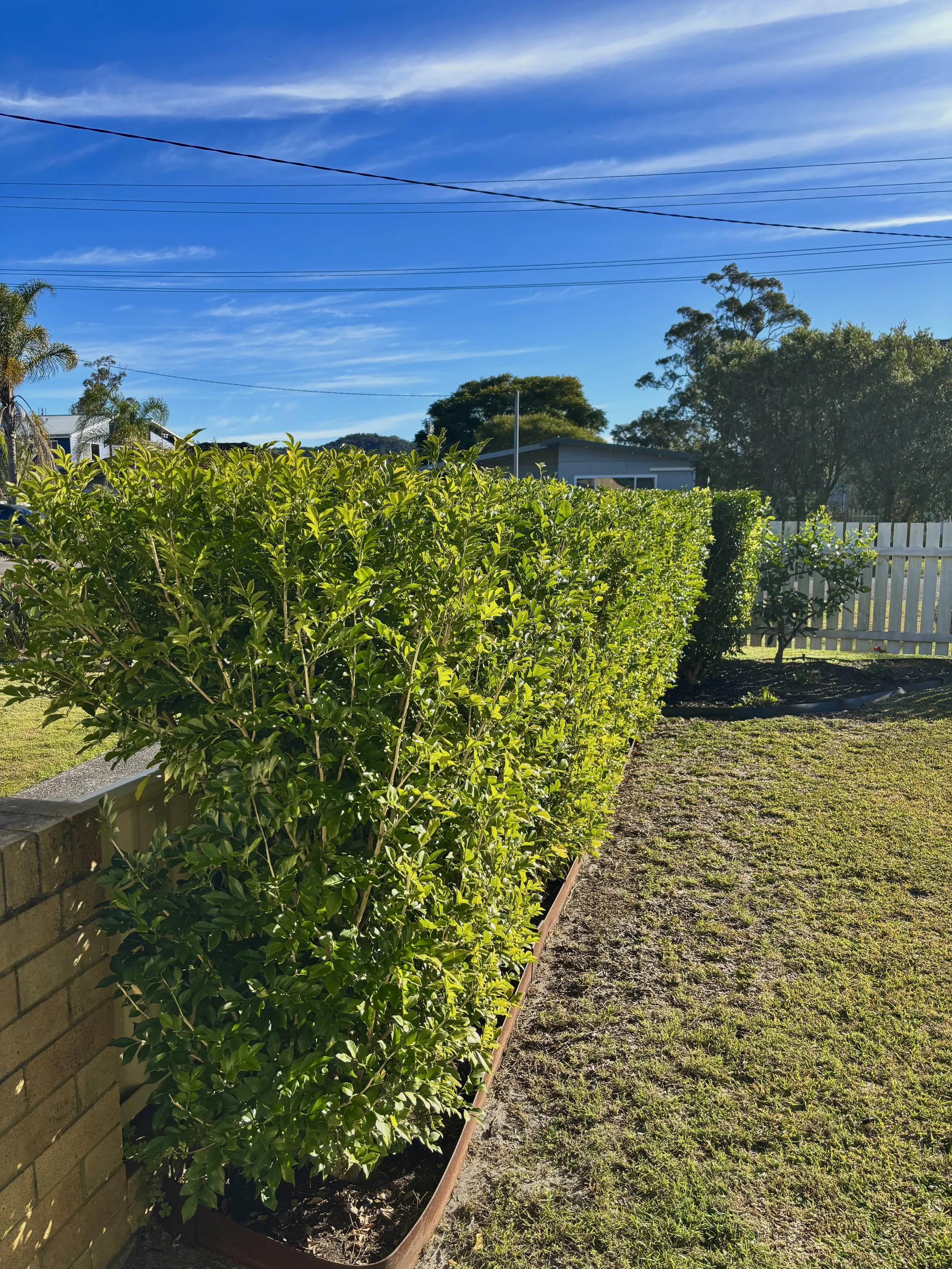 Hedging Service