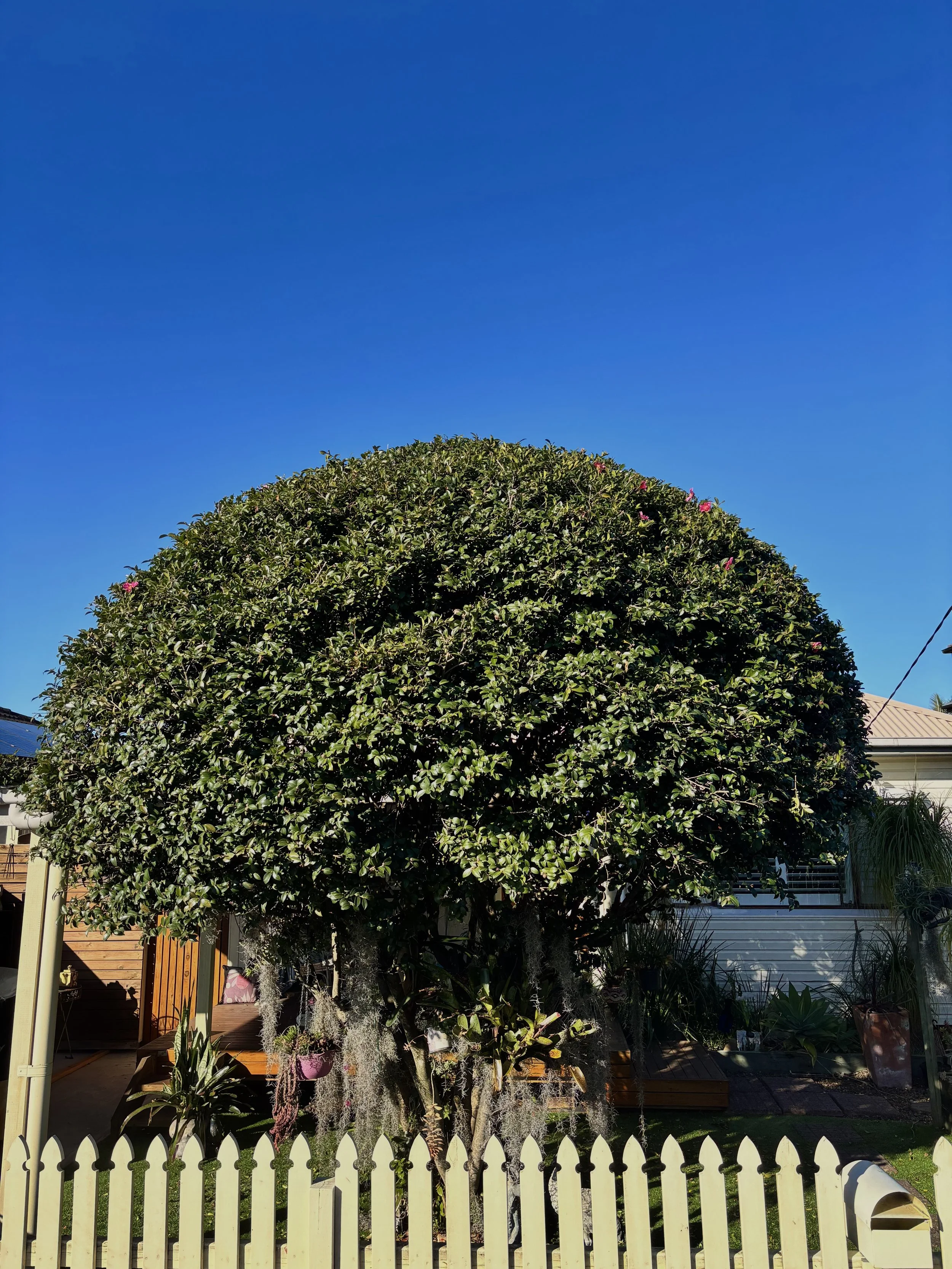 Pruning Service