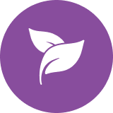 White leaf icon on purple circular background