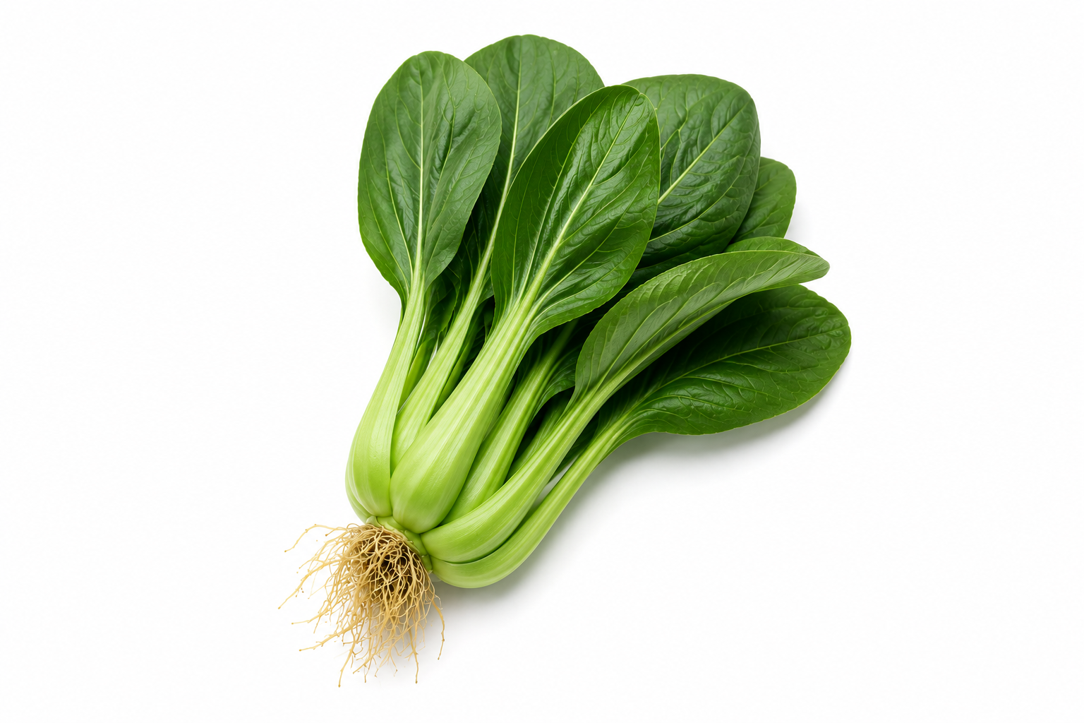 bok choi - little Shanghai