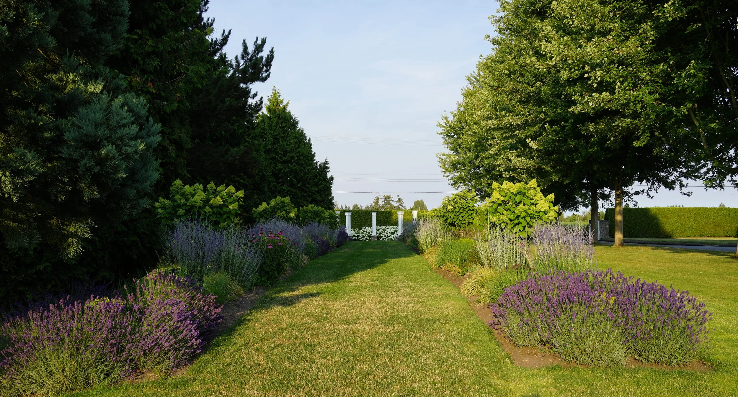 View of garden aisle