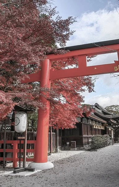 A traditional Japanese gate with red pillars, surrounded by pink cherry blossom trees, with a wooden building in the background.