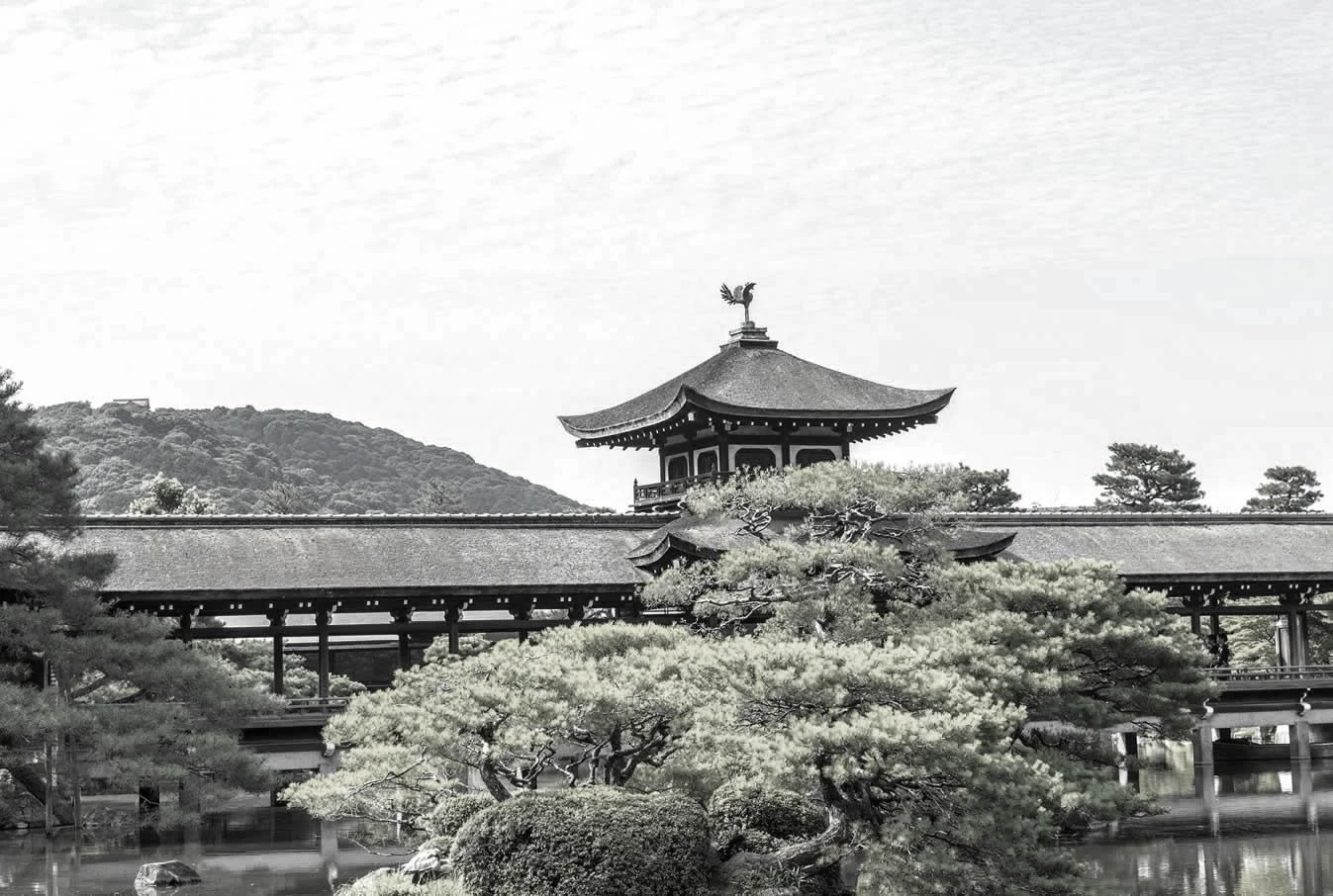 Black and white photo of a traditional Japanese temple with a pagoda style roof, surrounded by trees and a pond in the foreground.
