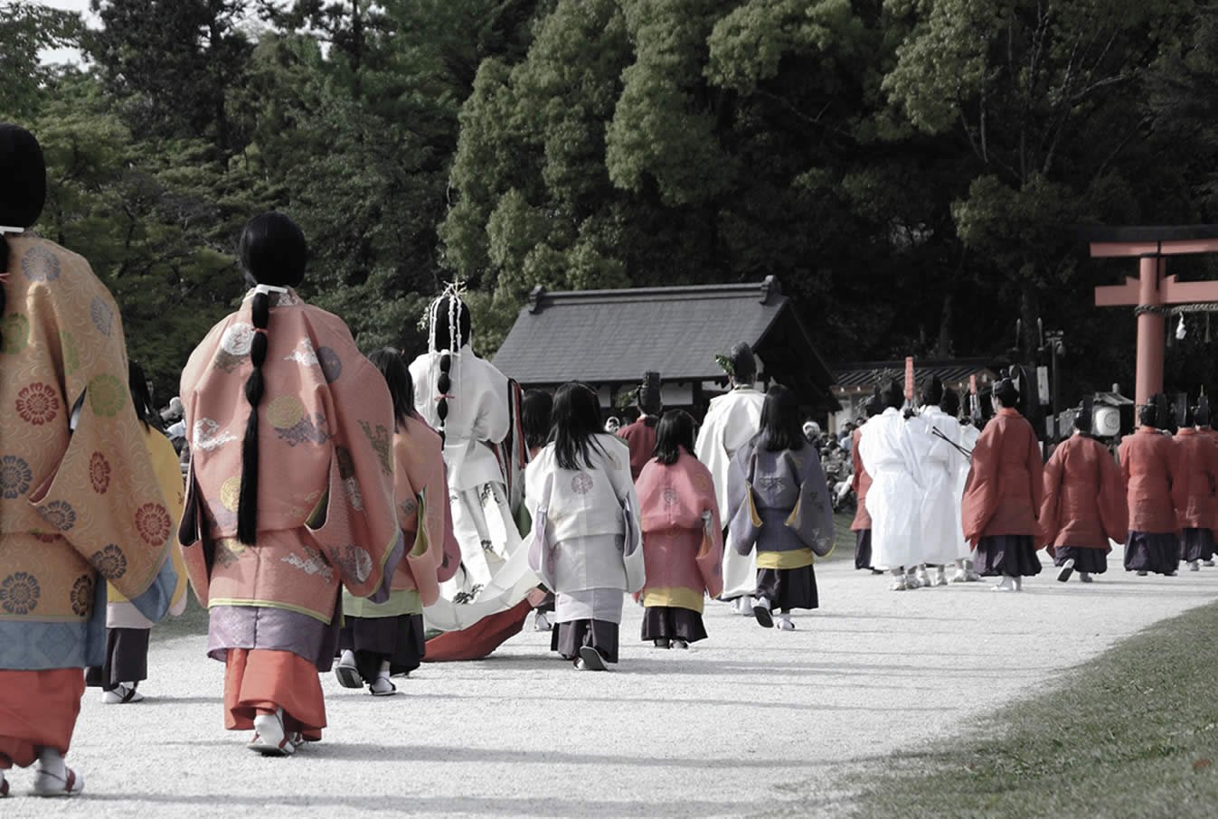 People dressed in traditional Japanese kimonos and robes walking on a temple path surrounded by trees and a shrine