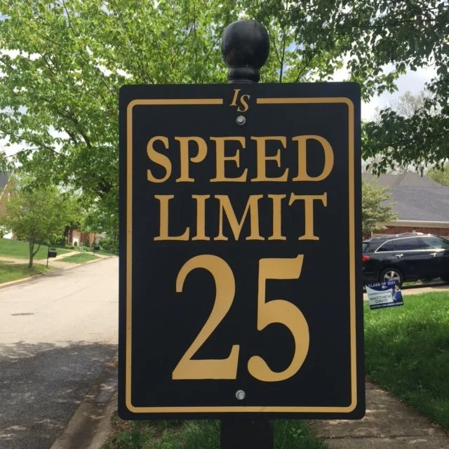 Indian Springs Speed Sign.JPG