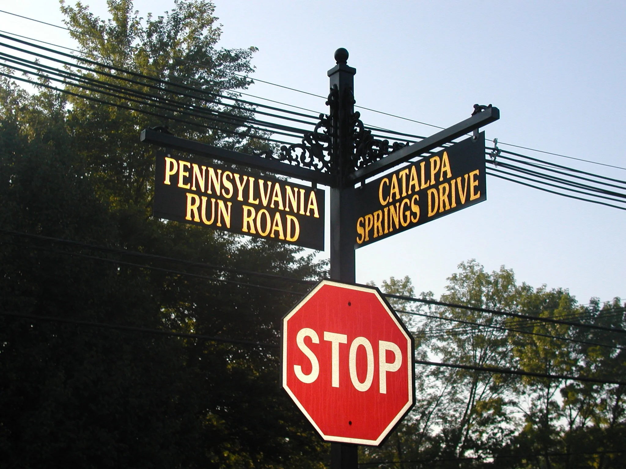 Catalpa Spring Streeet(By Others).JPG