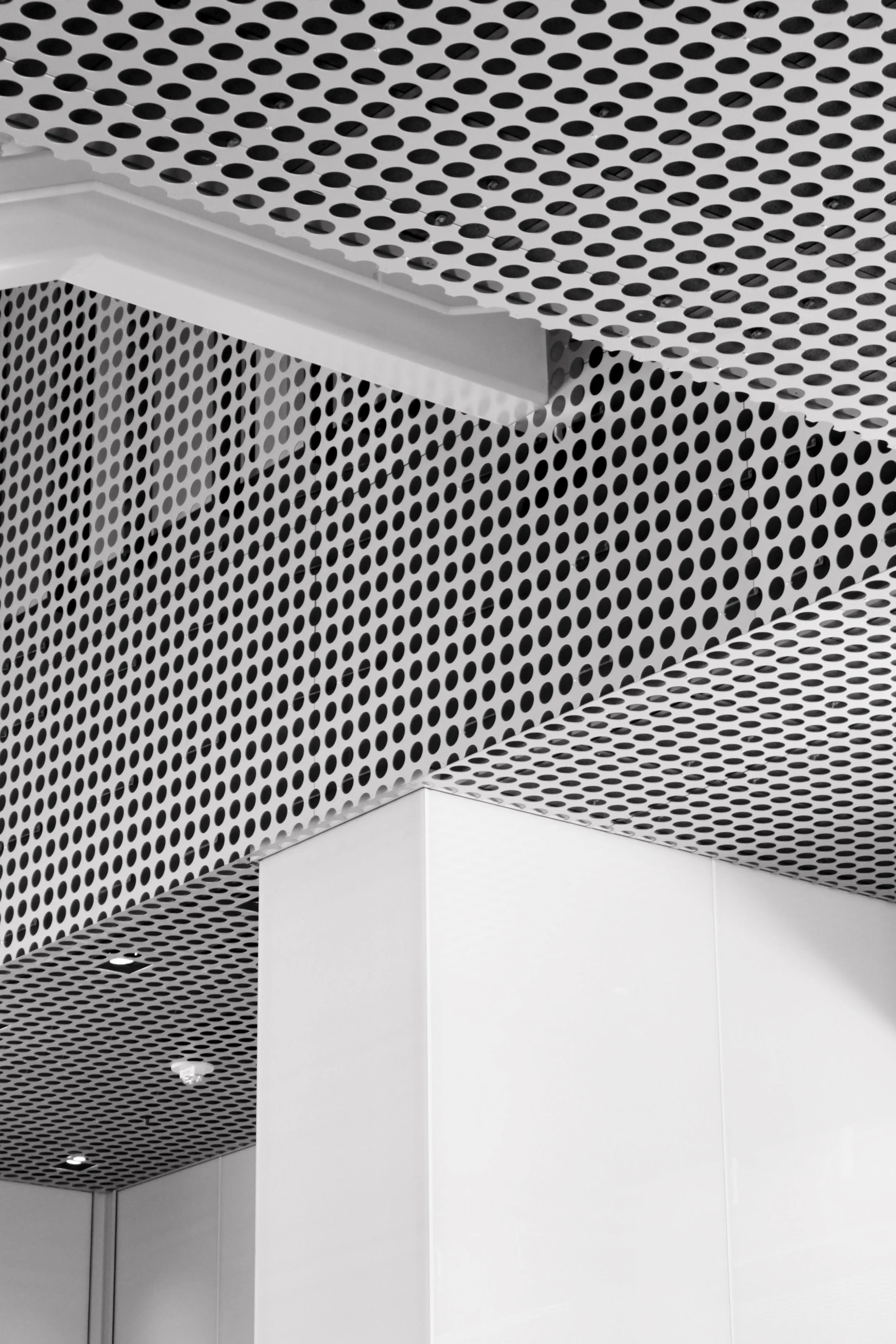 tampa museum of art - no. 6