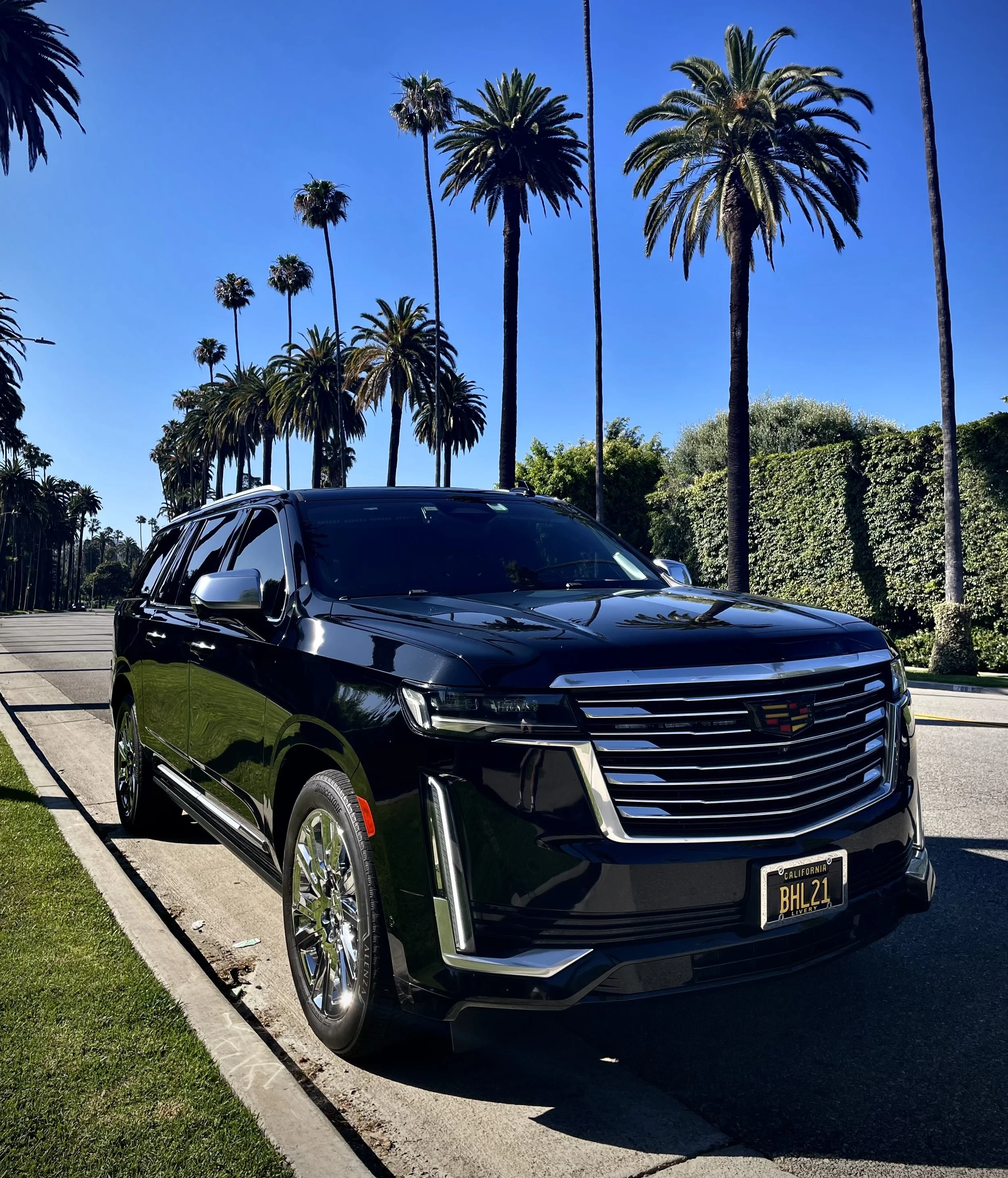 Cadillac Escalade ESV Platinum