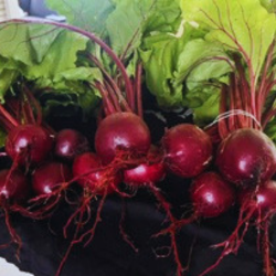 Beets