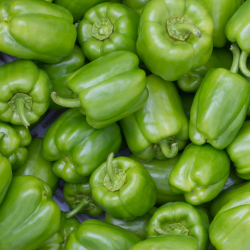 Green Peppers