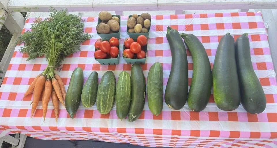Fresh carrots with green tops, small potatoes, cherry tomatoes, and large zucchini arranged on a checkered tablecloth.