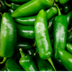 Jalapeno Peppers