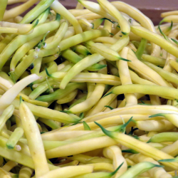 Yellow Bush Beans