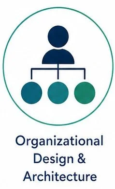 Icon of a person at the top connected to three circles below, representing organizational structure, with text 'Organizational Design & Architecture' underneath.