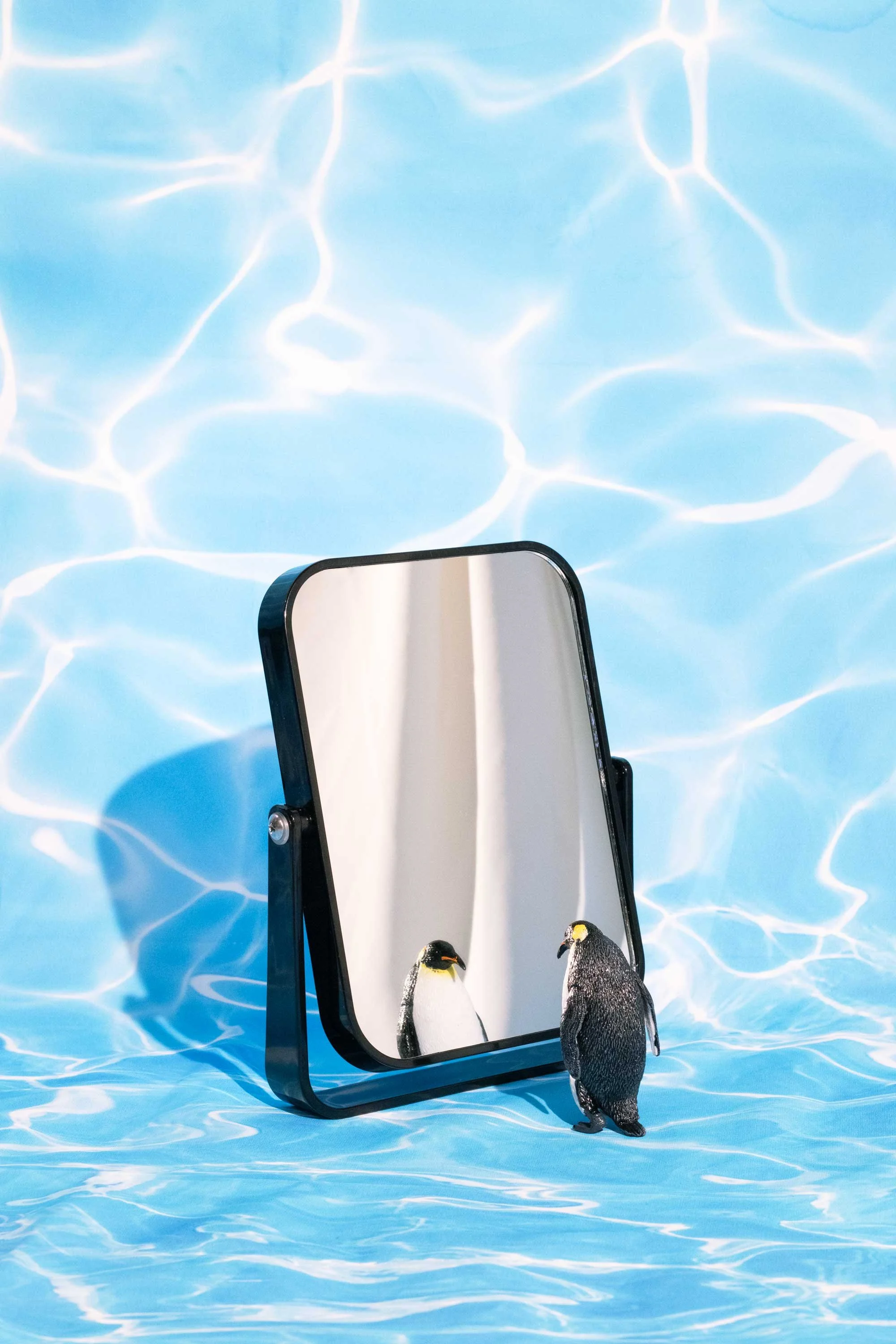 diy-shoot-penguin2.jpg