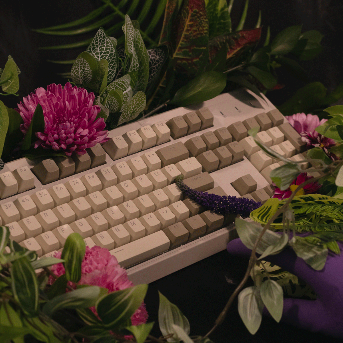 Lucid DIY Photography