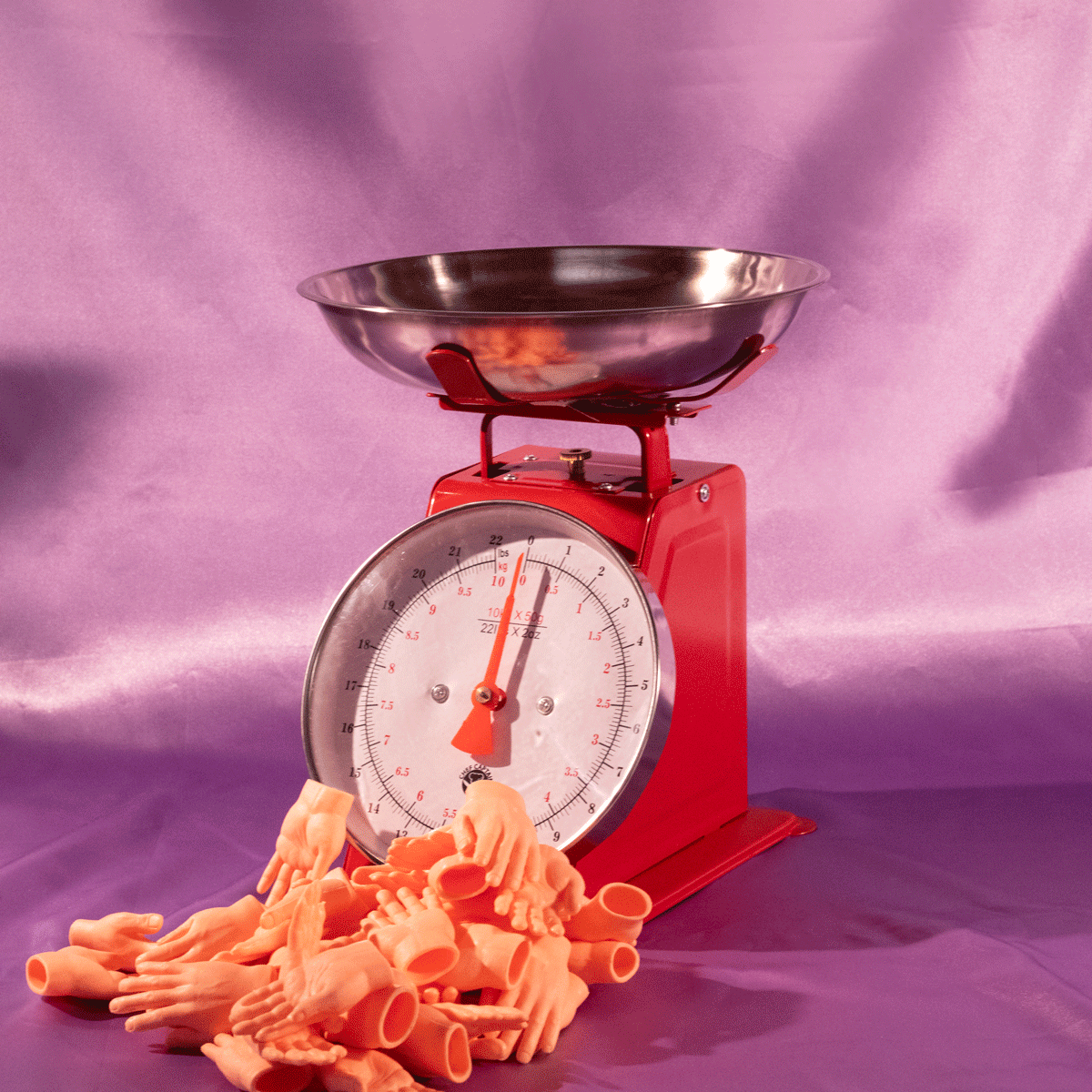Scale_DIYShoot_Animation2_1x1.gif