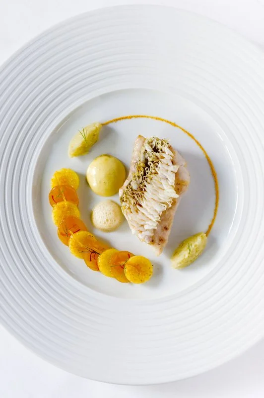 Chef's plated white fish fillet with sauces and garnishes on white plate.
