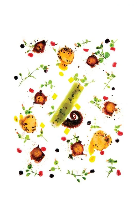Assorted gourmet appetizers on a white platter, including grilled scallops, microgreens, edible flowers, and various garnishes.