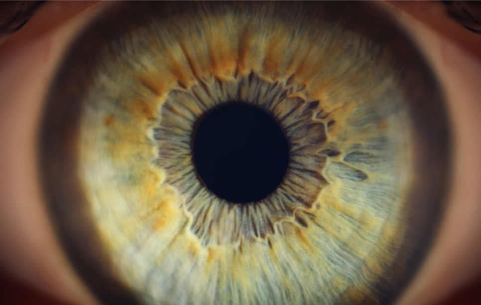 Close-up of a human eye with hazel colored iris and detailed iris pattern.