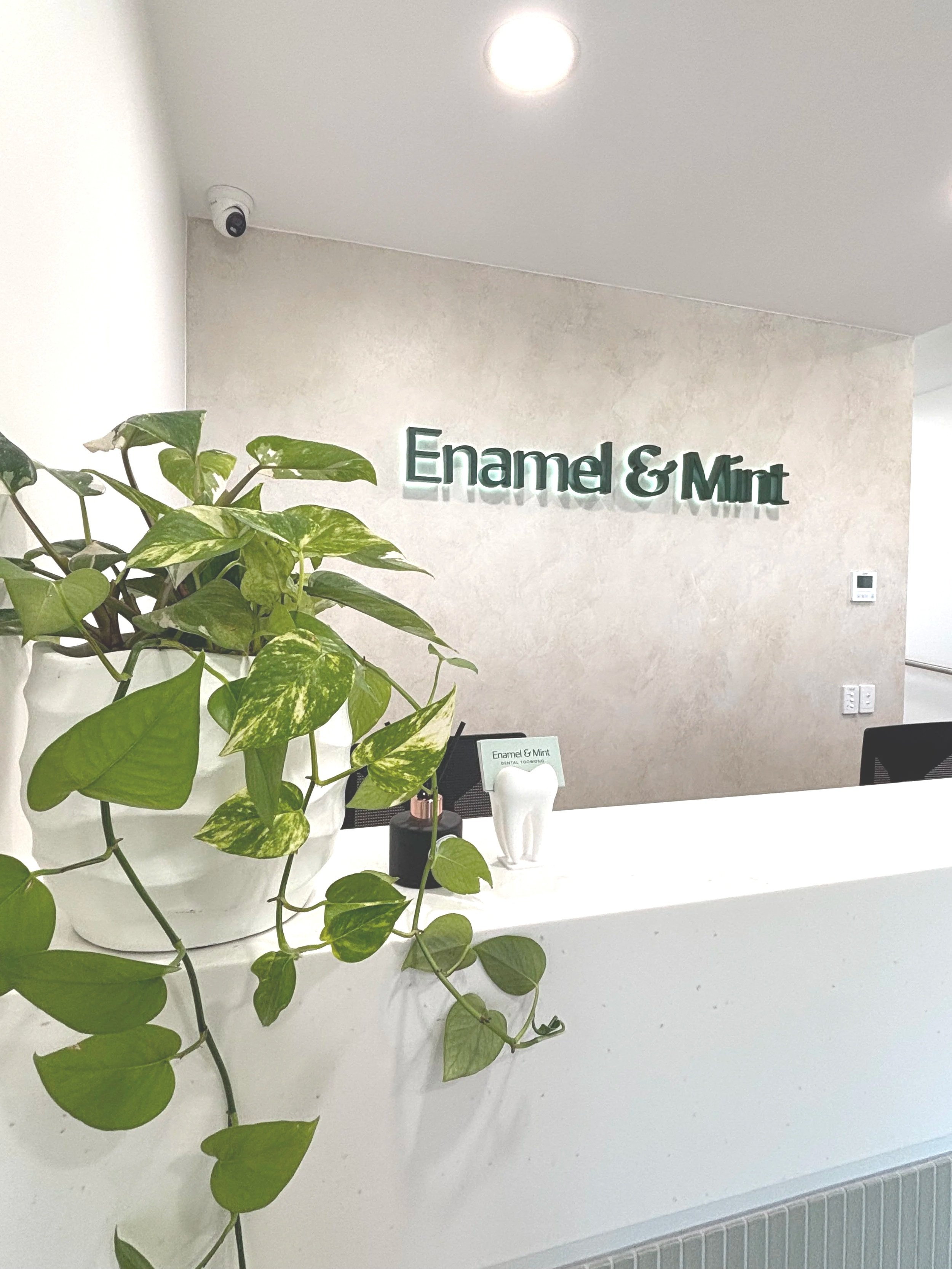 Enamel & Mint Counter