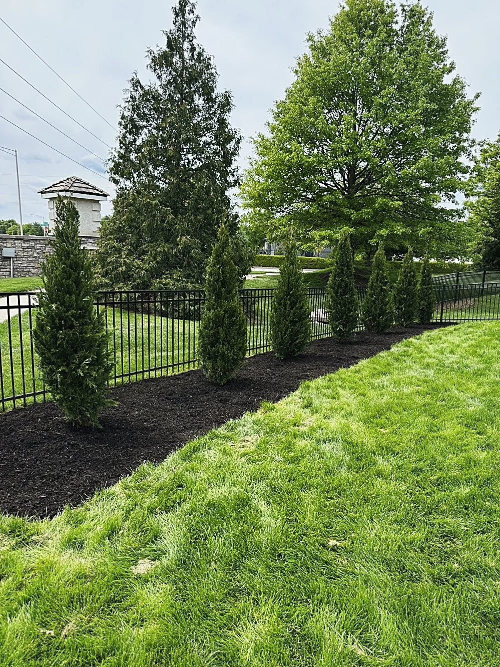 PRIVACY PLANTING