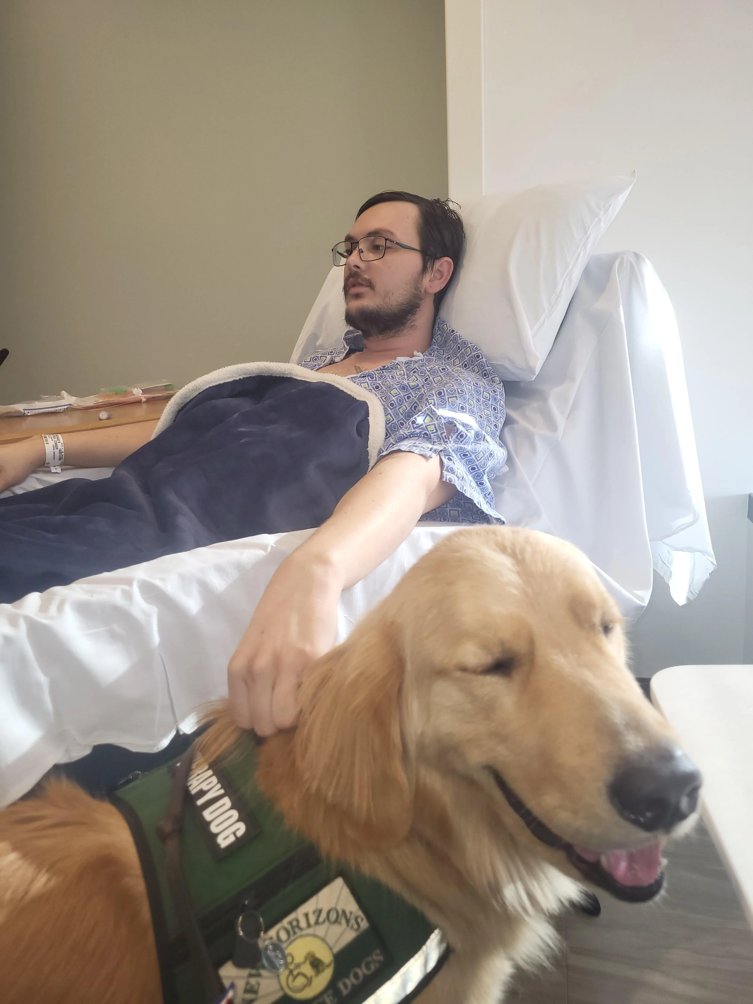 A man with glasses and a beard lies in a hospital bed wearing a hospital gown, with an IV inserted in his arm. A golden retriever dog, wearing a harness that says 'Service Dog' and a patch with a badge, is in the foreground.