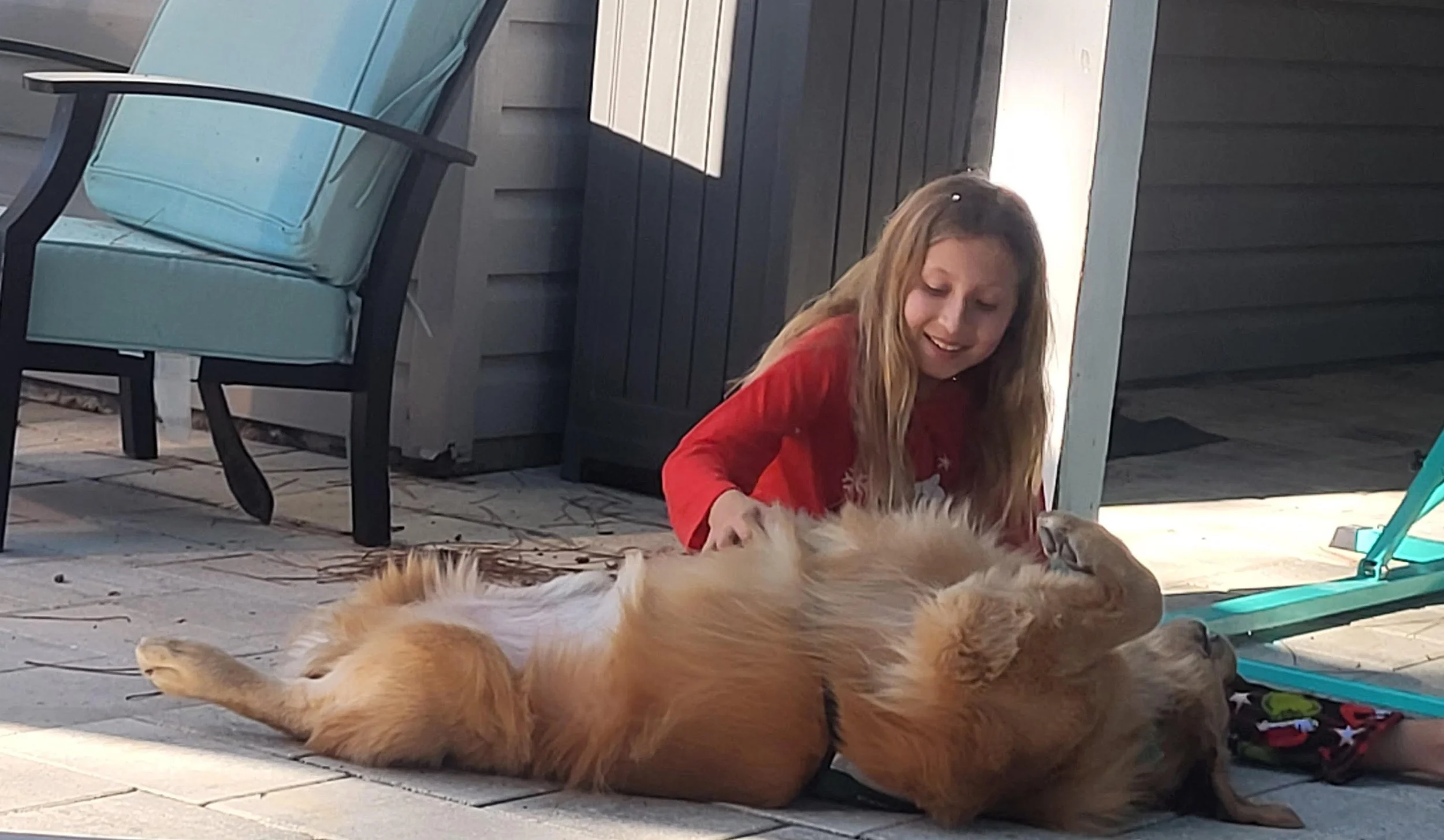 Young girl with long hair lying on a patio, petting a large, golden retriever dog lying on its back. An outdoor chair and a black wooden cabinet are visible in the background.