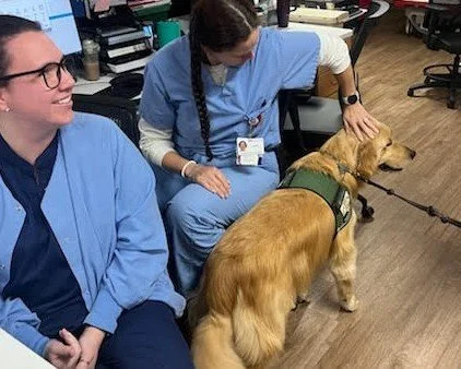 Two female veterinary staff members in scrubs with a golden retriever dog in a veterinary clinic.