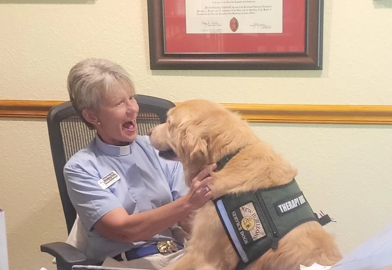 A woman in a nurse uniform smiling and laughing as she interacts with a therapy dog wearing a vest labeled 'THERAPY DOG' in an office setting.