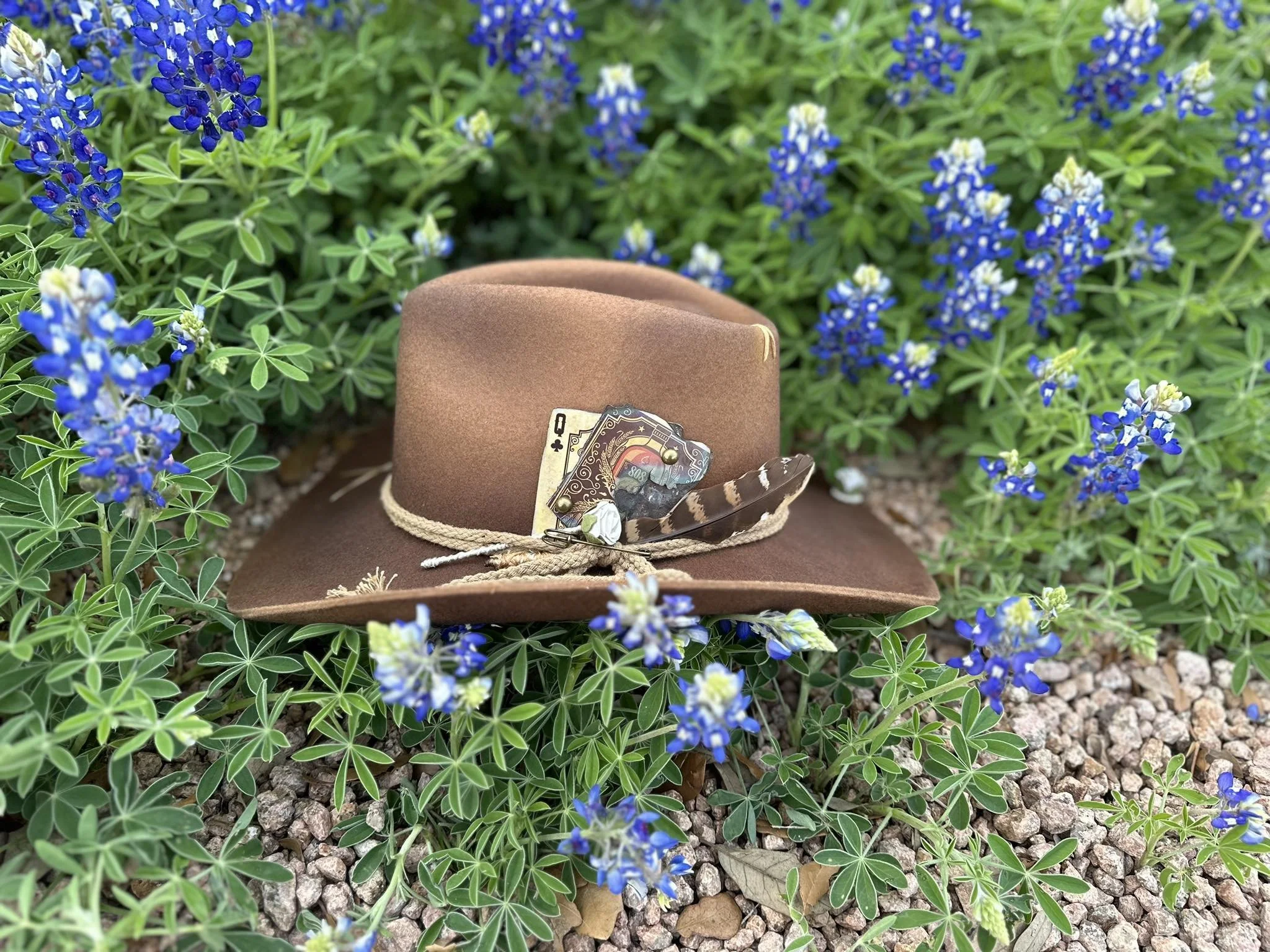 A brown felt hat with a decorative feather, playing cards, and a feather on top, placed amidst green fragrant, leafy plants with small blue and white flowers.