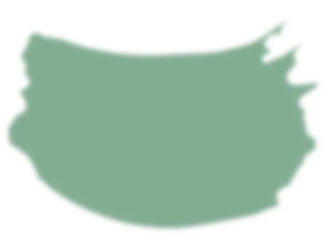 Blurred green map of the United States.