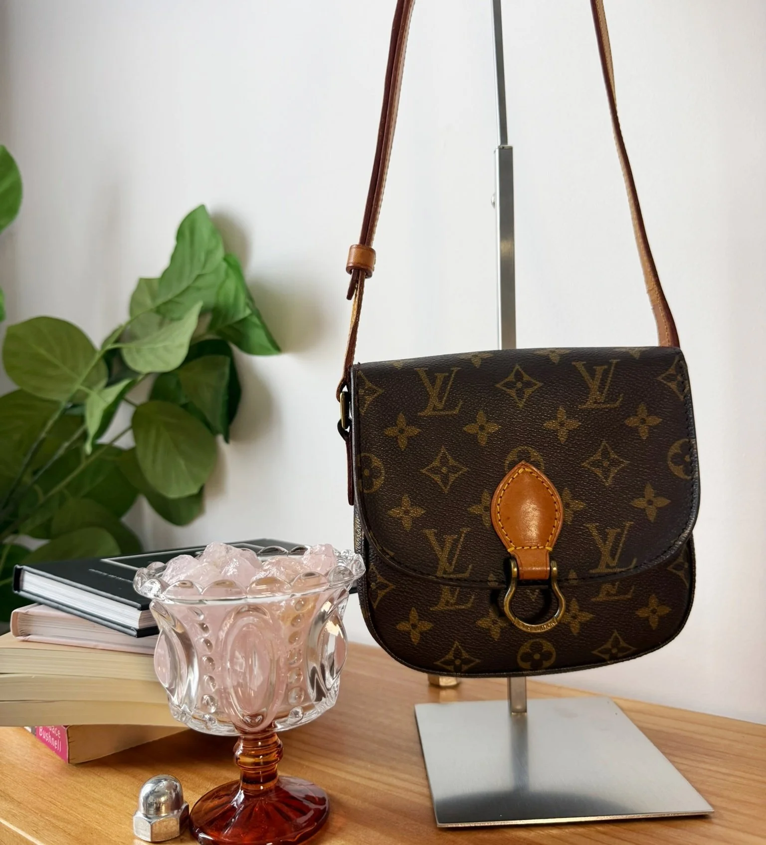 Louis Vuitton Saint Cloud PM