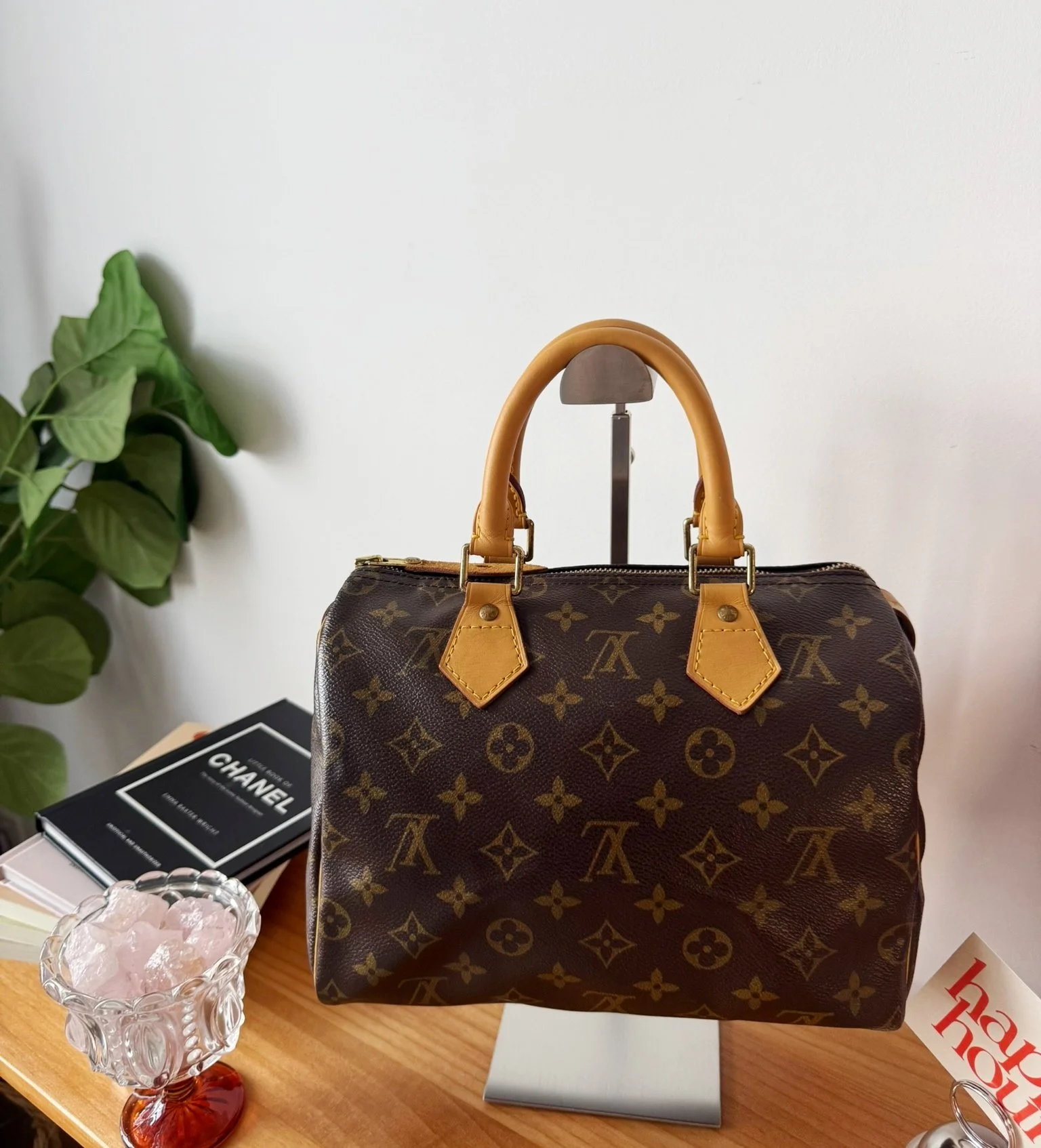 Louis Vuitton Speedy 25