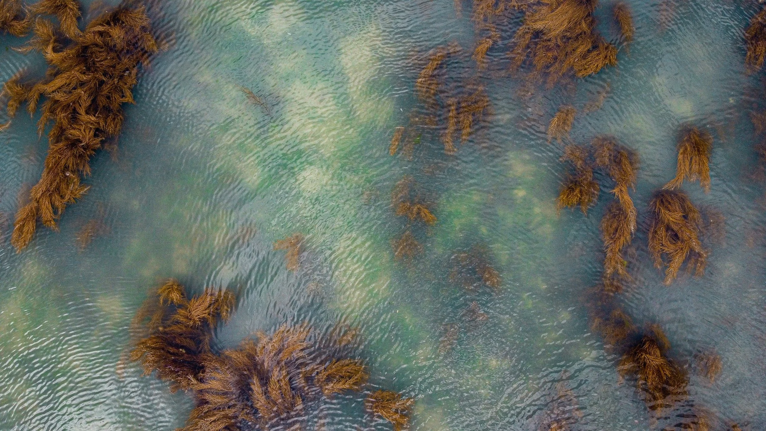 DJI_0226.jpg