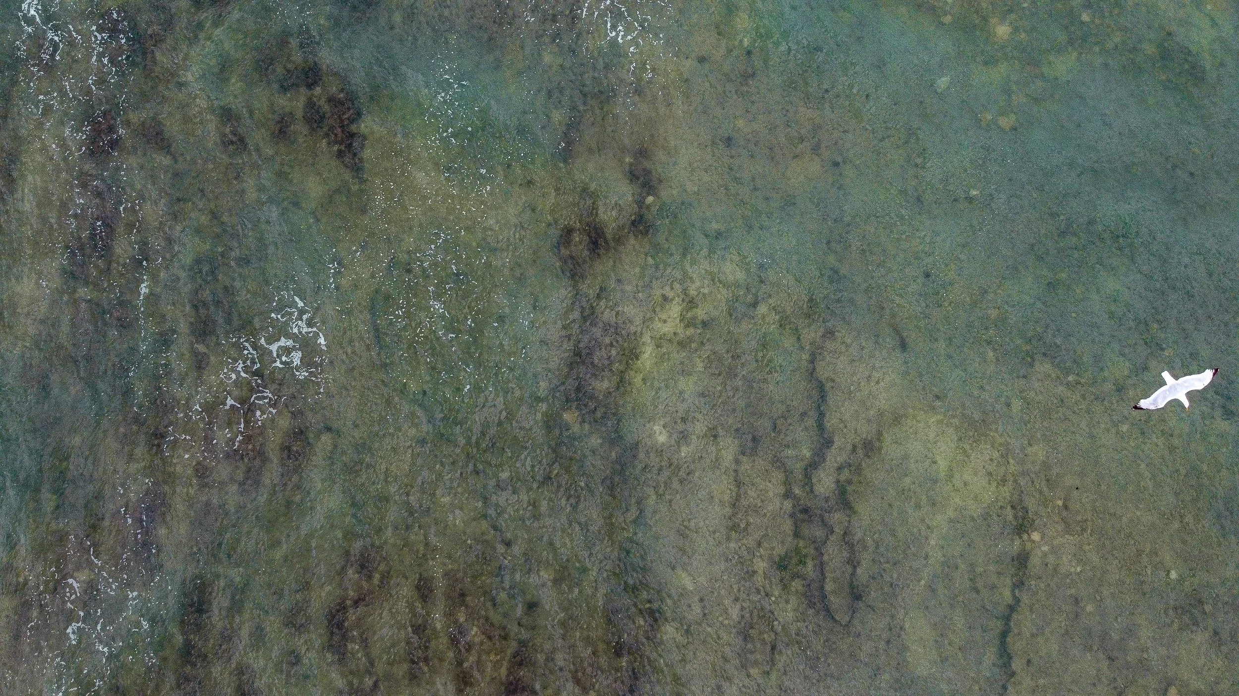 DJI_0229.jpg