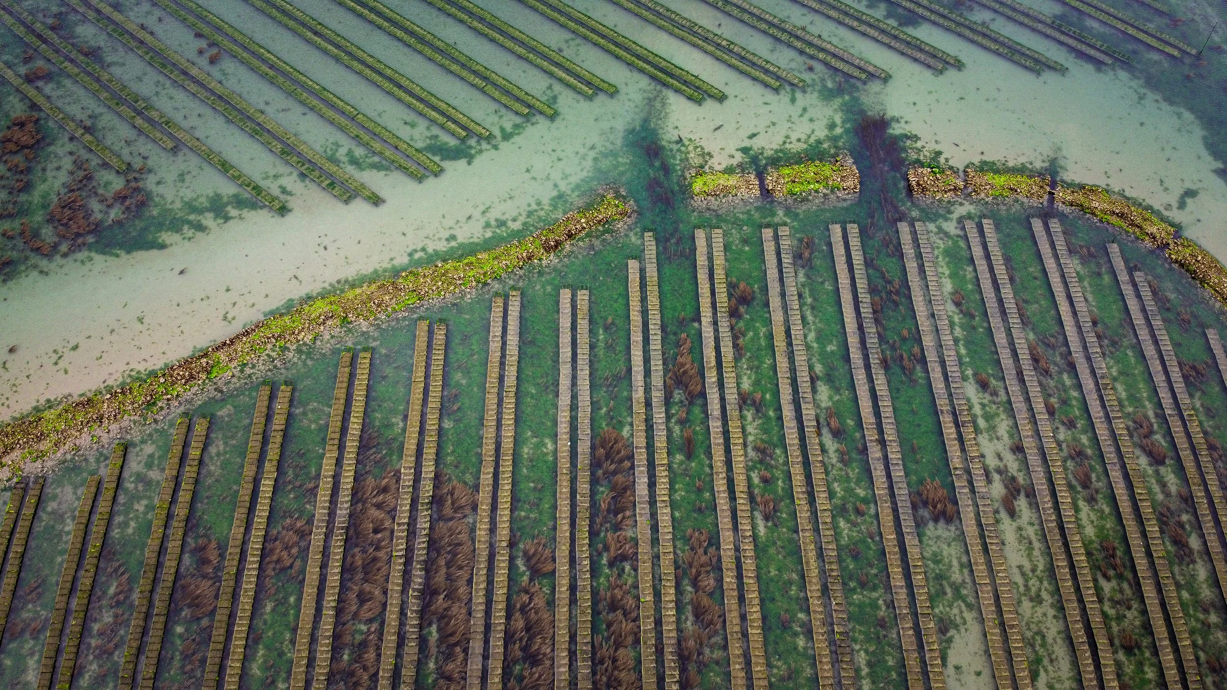 DJI_0258.JPG
