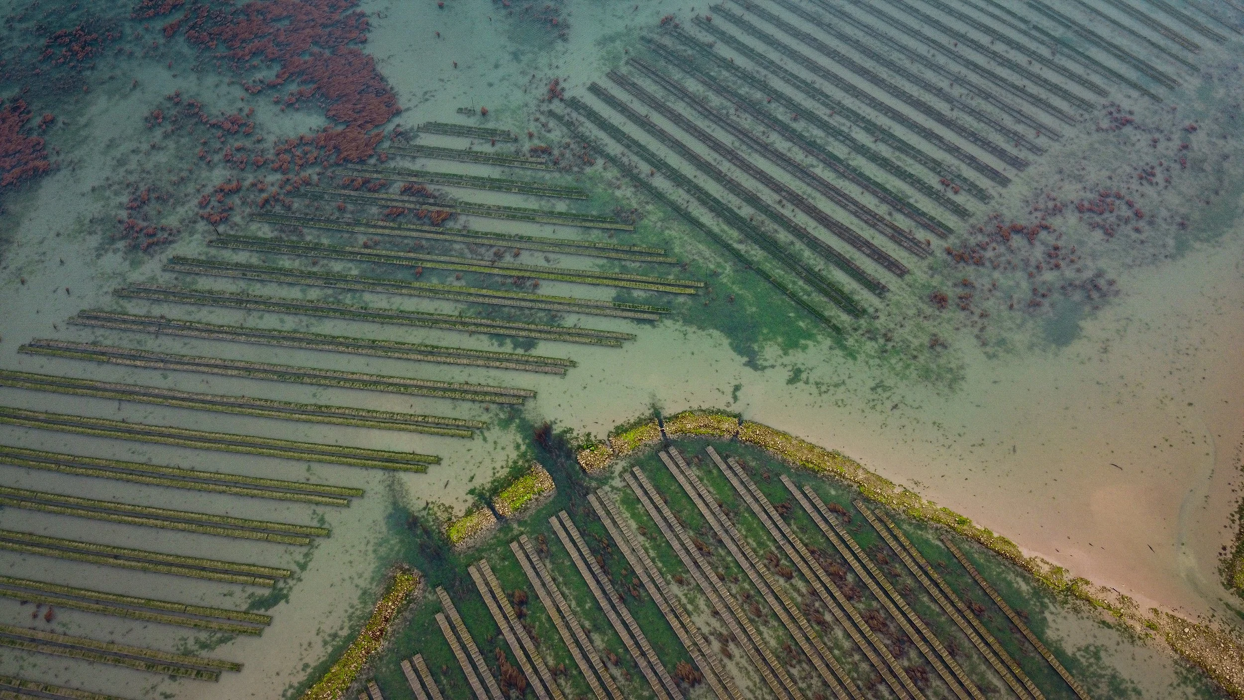 DJI_0269.JPG