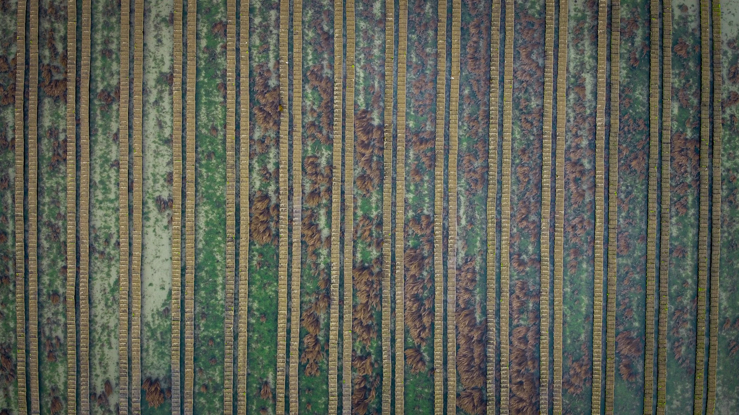 DJI_0265.jpg