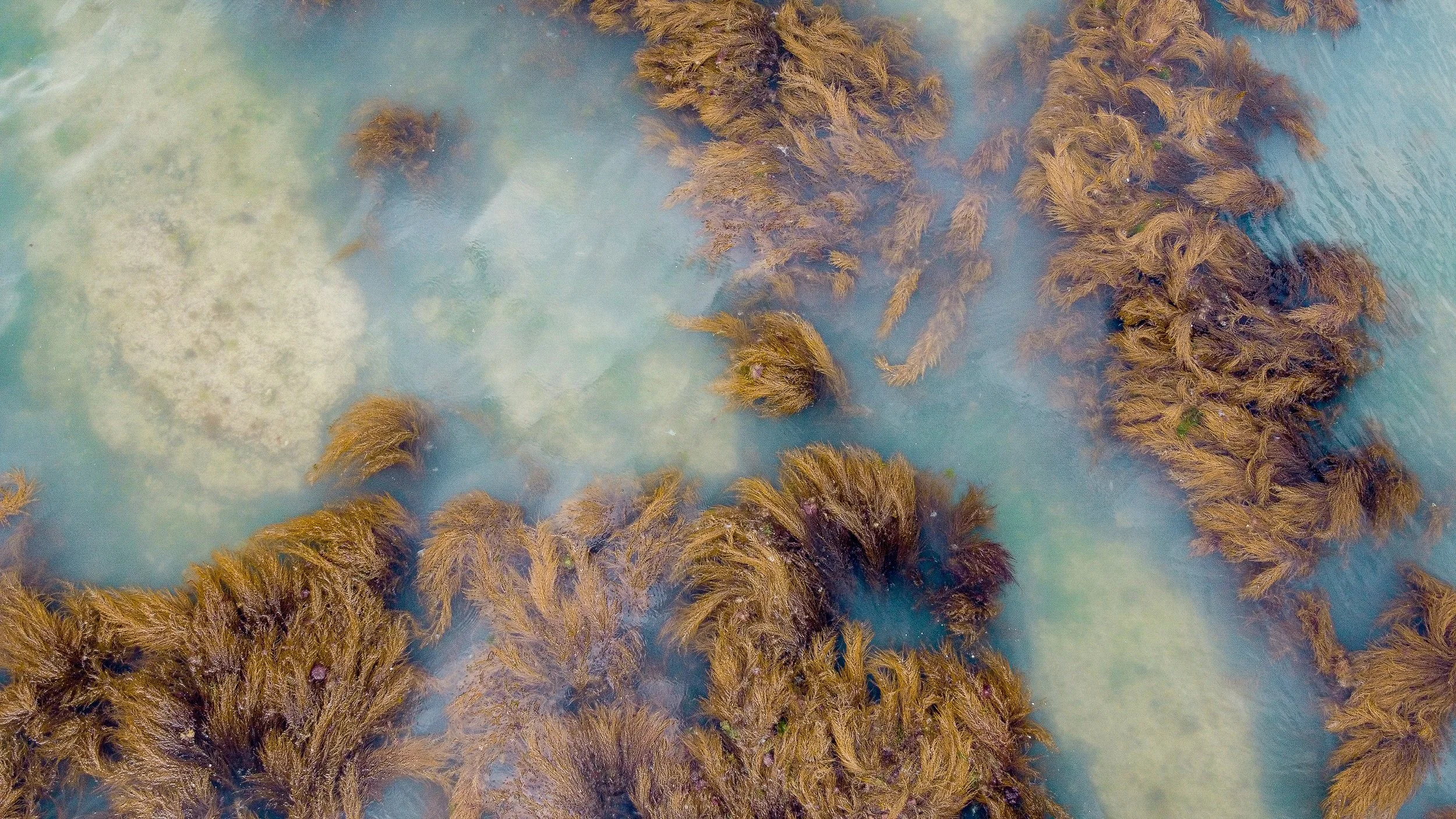 DJI_0227.jpg