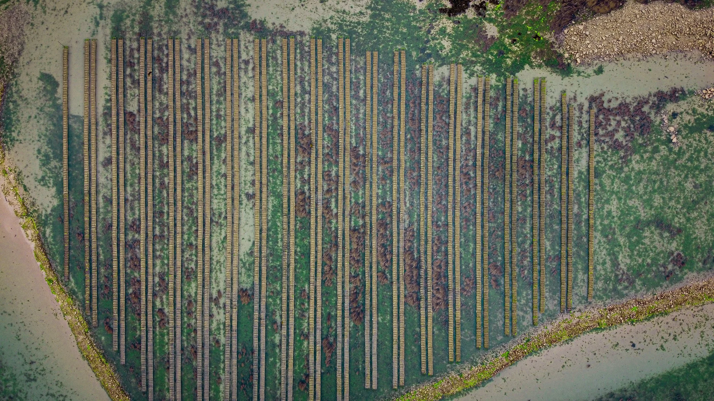 DJI_0267.JPG