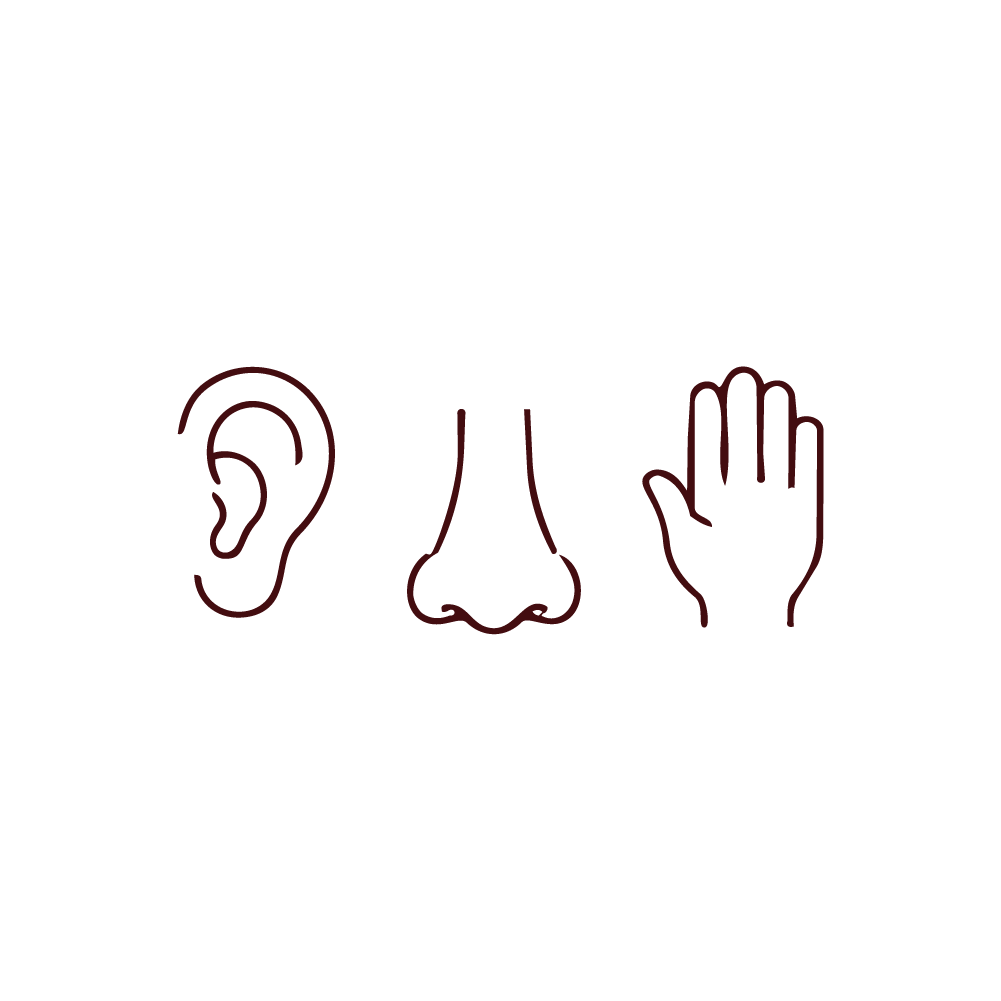 Sensory processing