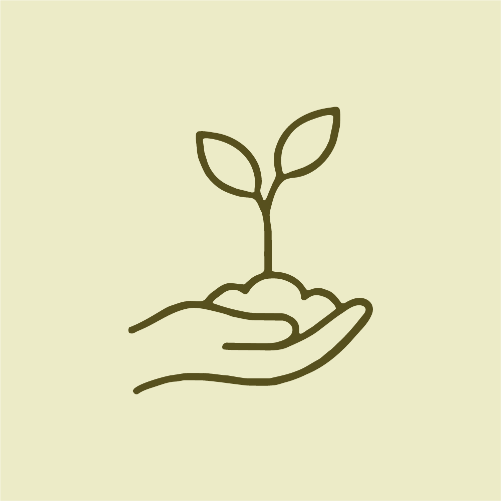 A simple line drawing of a hand holding a small plant with two leaves.