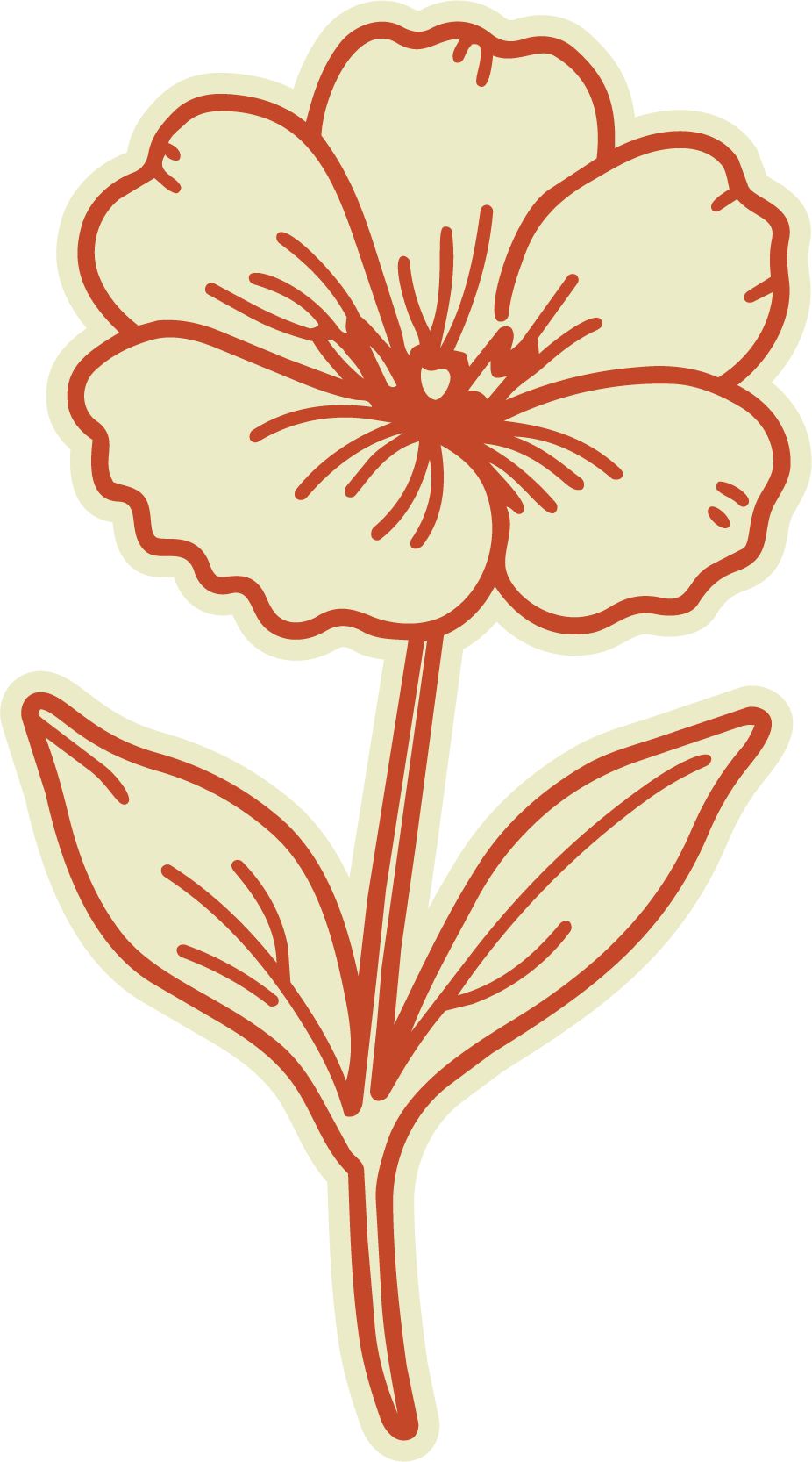 A line drawing of a flower with a large blossom, stem, and two leaves.