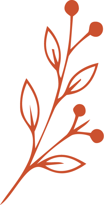 A simple, stylized illustration of a plant with leaves and round berries.